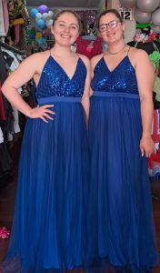 Adult Female Costumes to Hire - Blue Dress - Sequin Bodice - S